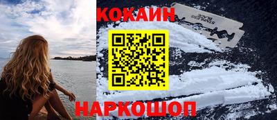 шишки Обь