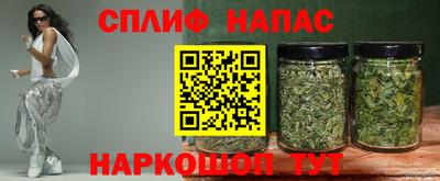 шишки Обь