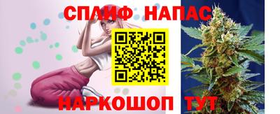 шишки Обь