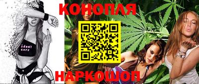 шишки Обь