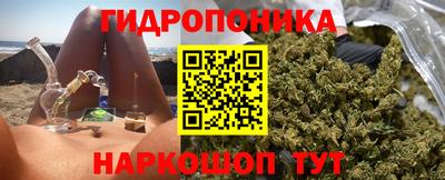 шишки Обь