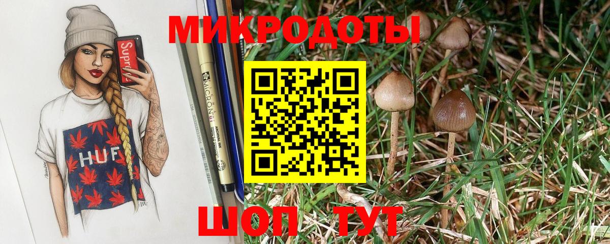 Псилоцибиновые грибы GOLDEN TEACHER  Псилоцибиновые грибы Psilocybine cubensis  Сухой Лог  Вход с VPN 
