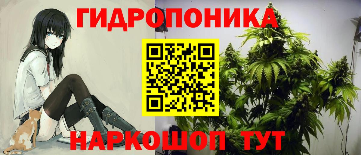 Бошки марихуана тримм  Вход с VPN  МАРИХУАНА марихуана  Сухой Лог  МАРИХУАНА гибрид  Бошки марихуана семена 